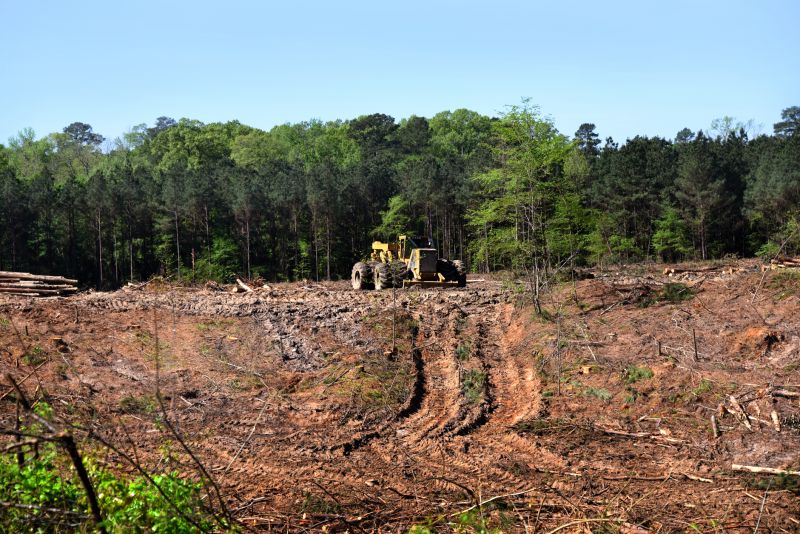 Commercial Site Clearing