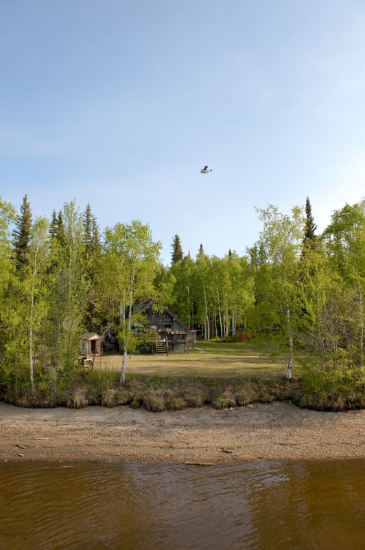 Autumn Site Preparation
