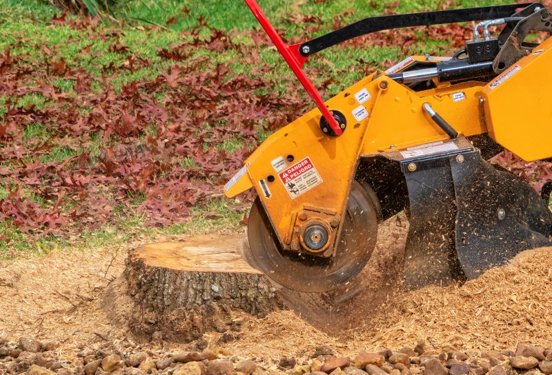 Stump Grinding Operation