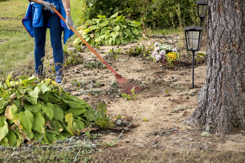 Environmental Clearing Experts